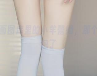 兔玩映画图库里的小羊蕾姆，那个角度我包了